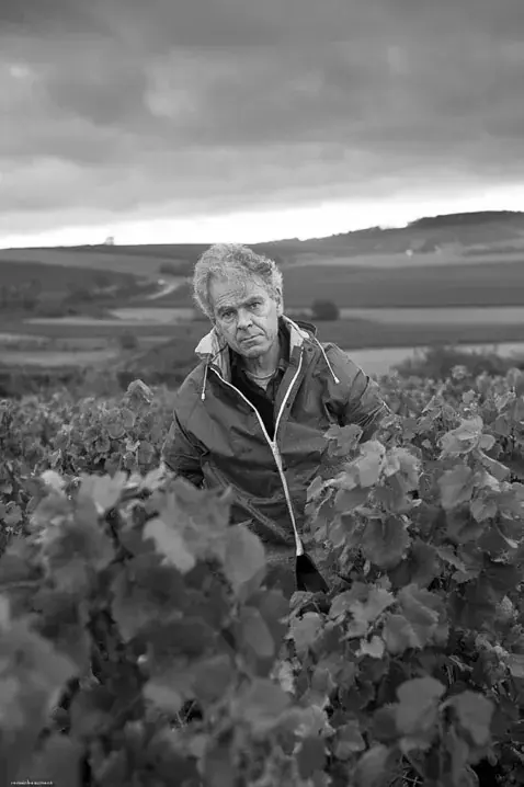 Vigneron debout au milieu de ses vignes sous ciel dramatique, noir et blanc