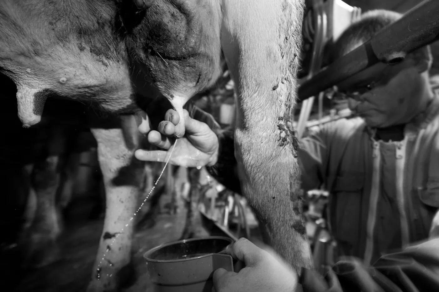 Agriculteur au téléphone dans la cour de sa ferme, tracteur et hangar en arrière-plan