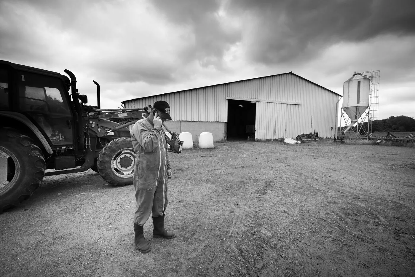Éleveur dans sa bergerie au milieu de ses moutons angora